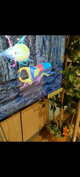 JOYPOLIS 特別イベントスペースに投稿された画像（2024/8/20）