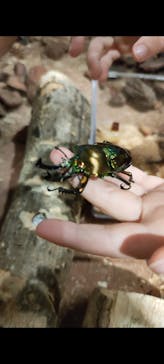 JOYPOLIS 特別イベントスペースに投稿された画像（2024/8/20）