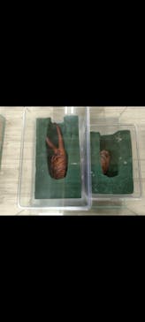 JOYPOLIS 特別イベントスペースに投稿された画像（2024/8/20）