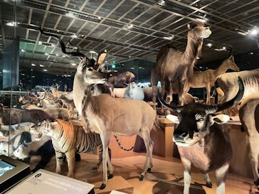 国立科学博物館に投稿された画像（2024/8/20）