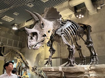 国立科学博物館に投稿された画像（2024/8/20）