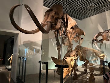 国立科学博物館に投稿された画像（2024/8/20）