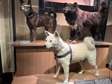 国立科学博物館に投稿された画像（2024/8/20）