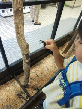 JOYPOLIS 特別イベントスペースに投稿された画像（2024/8/20）