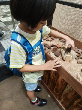 JOYPOLIS 特別イベントスペースに投稿された画像（2024/8/20）