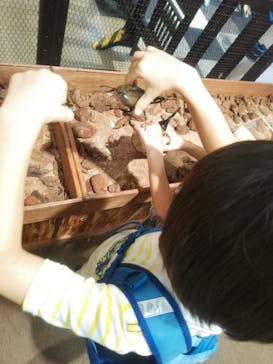 JOYPOLIS 特別イベントスペースに投稿された画像（2024/8/20）