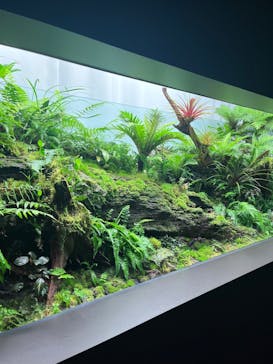 AOAO SAPPOROに投稿された画像（2024/8/20）