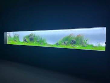 AOAO SAPPOROに投稿された画像（2024/8/20）