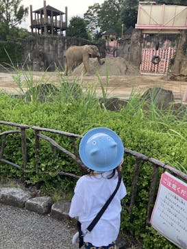 多摩動物公園に投稿された画像（2024/8/20）