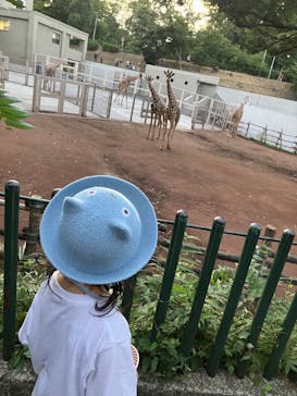 多摩動物公園に投稿された画像（2024/8/20）