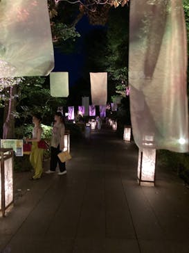 江の島シーキャンドルに投稿された画像（2024/8/20）