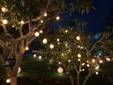 江の島シーキャンドルに投稿された画像（2024/8/20）