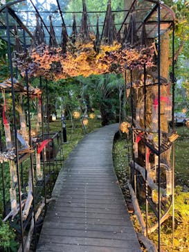 江の島シーキャンドルに投稿された画像（2024/8/20）