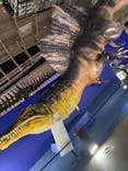 巨大恐竜展2024に投稿された画像（2024/8/21）