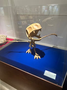 岐阜県博物館に投稿された画像（2024/8/20）