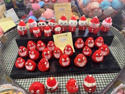 サンプルRiKiに投稿された画像（2024/8/21）