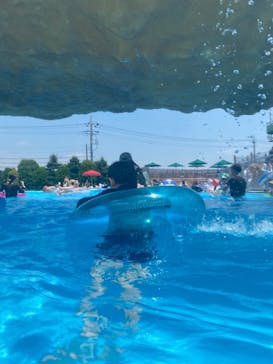 東京サマーランドに投稿された画像（2024/8/21）