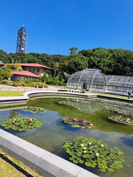 名古屋市東山動植物園に投稿された画像（2024/8/21）