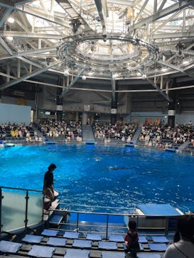 マクセル アクアパーク品川に投稿された画像（2024/8/21）