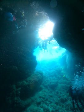 武藤潜水に投稿された画像（2024/8/21）