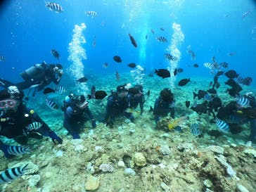 武藤潜水に投稿された画像（2024/8/21）