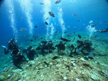 武藤潜水に投稿された画像（2024/8/21）