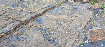 福井県立恐竜博物館に投稿された画像（2024/8/21）