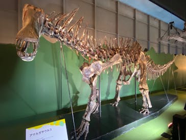 巨大恐竜展2024に投稿された画像（2024/8/21）