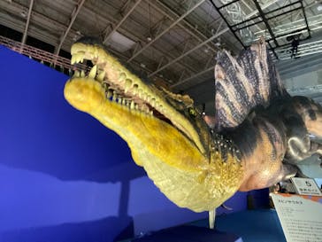 巨大恐竜展2024に投稿された画像（2024/8/21）