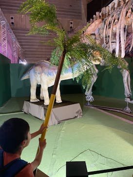 巨大恐竜展2024に投稿された画像（2024/8/21）