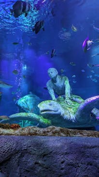 レゴランドⓇ・ジャパン・リゾートに投稿された画像（2024/8/21）