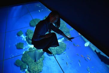 DMMかりゆし水族館に投稿された画像（2024/8/21）