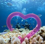 青の洞窟専門店　沖縄ダイビングショップ和に投稿された画像（2024/8/21）