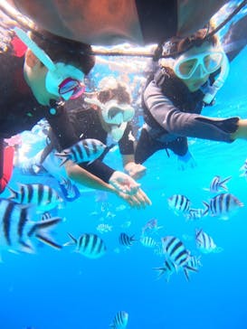 DIVING-SHOP SUNSに投稿された画像（2024/8/21）