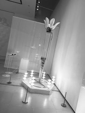 沖縄県立博物館・美術館〔おきみゅー〕に投稿された画像（2024/8/21）