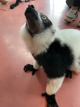 那須ワールドモンキーパークに投稿された画像（2024/8/21）