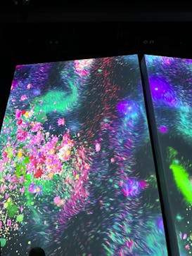 モネ＆フレンズ・アライブに投稿された画像（2024/8/21）