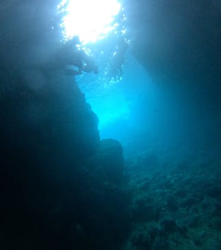 武藤潜水に投稿された画像（2024/8/21）