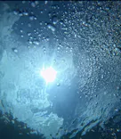 武藤潜水に投稿された画像（2024/8/21）