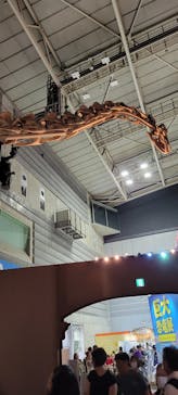 巨大恐竜展2024に投稿された画像（2024/8/21）