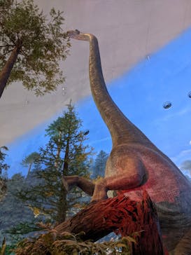 福井県立恐竜博物館に投稿された画像（2024/8/21）