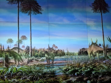 福井県立恐竜博物館に投稿された画像（2024/8/21）