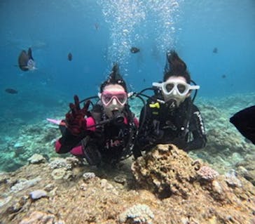 沖縄マリンサービス碧に投稿された画像（2024/8/21）