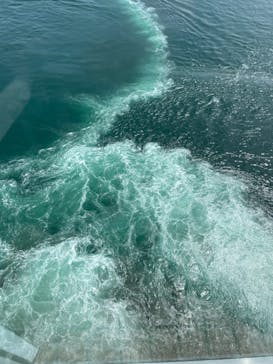 徳島県立 渦の道に投稿された画像（2024/8/21）