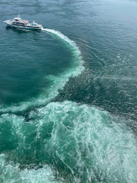 徳島県立 渦の道に投稿された画像（2024/8/21）