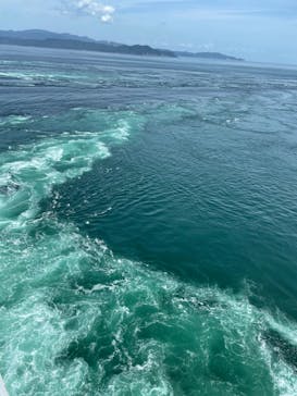 徳島県立 渦の道に投稿された画像（2024/8/21）