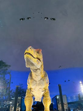 福井県立恐竜博物館に投稿された画像（2024/8/21）