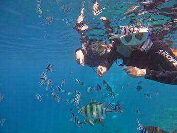 沖縄マリンサービス碧に投稿された画像（2024/8/21）