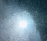 武藤潜水に投稿された画像（2024/8/21）