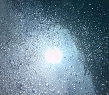 武藤潜水に投稿された画像（2024/8/21）